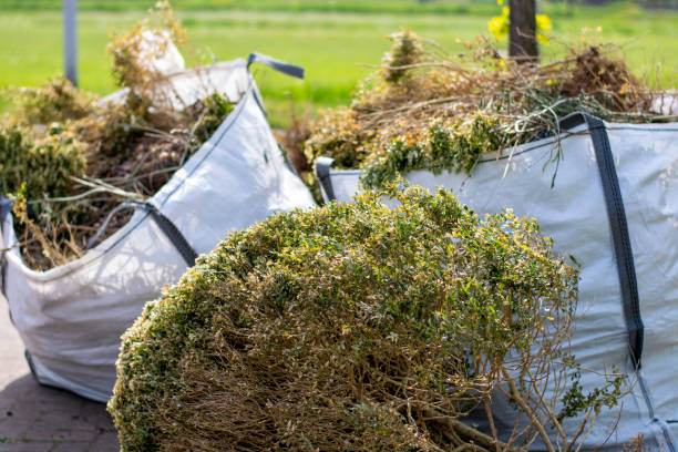 Best Moving and Downsizing Cleanouts  in Picacho Hills, NM
